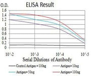 BT LAB manufacturer product image