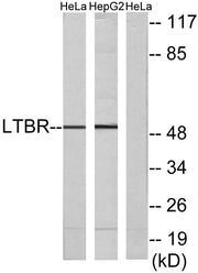 BT LAB manufacturer product image