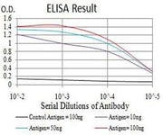 BT LAB manufacturer product image