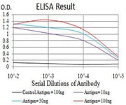 BT LAB manufacturer product image
