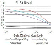 BT LAB manufacturer product image