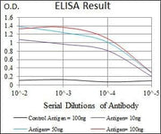 BT LAB manufacturer product image