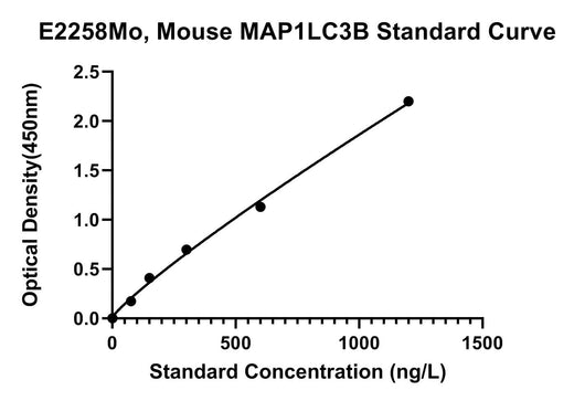 BT LAB manufacturer product image