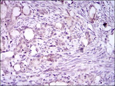 BT LAB manufacturer product image
