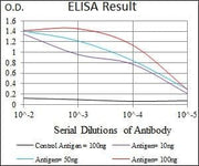 BT LAB manufacturer product image