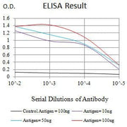 BT LAB manufacturer product image