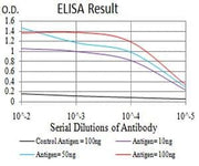 BT LAB manufacturer product image