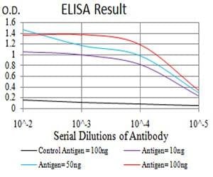 BT LAB manufacturer product image