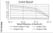 BT LAB manufacturer product image