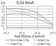BT LAB manufacturer product image