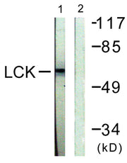 BT LAB manufacturer product image