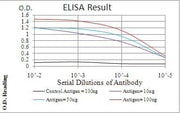 BT LAB manufacturer product image