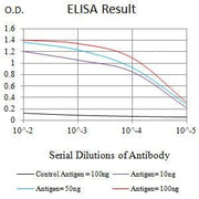 BT LAB manufacturer product image