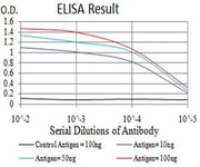 BT LAB manufacturer product image