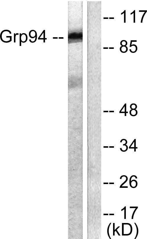 BT LAB manufacturer product image