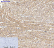 BT LAB manufacturer product image