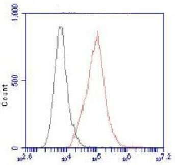 BT LAB manufacturer product image