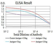 BT LAB manufacturer product image