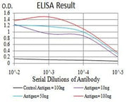 BT LAB manufacturer product image