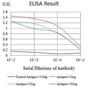 BT LAB manufacturer product image