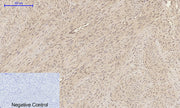 BT LAB manufacturer product image