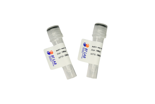 BT LAB manufacturer product image