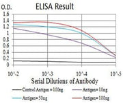 BT LAB manufacturer product image