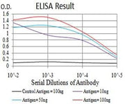 BT LAB manufacturer product image