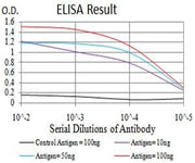 BT LAB manufacturer product image