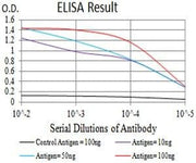 BT LAB manufacturer product image