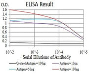 BT LAB manufacturer product image