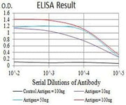 BT LAB manufacturer product image