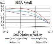 BT LAB manufacturer product image