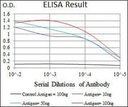 BT LAB manufacturer product image