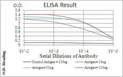 BT LAB manufacturer product image