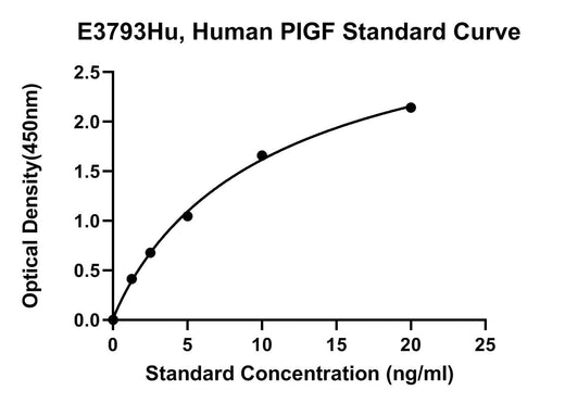 BT LAB manufacturer product image