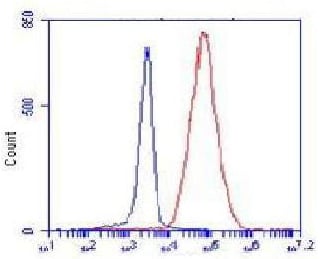 BT LAB manufacturer product image