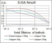 BT LAB manufacturer product image