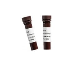 BT LAB manufacturer product image