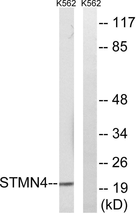 BT LAB manufacturer product image