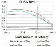 BT LAB manufacturer product image