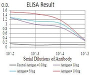 BT LAB manufacturer product image