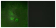 BT LAB manufacturer product image