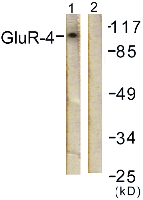 BT LAB manufacturer product image