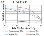 BT LAB manufacturer product image