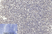 BT LAB manufacturer product image