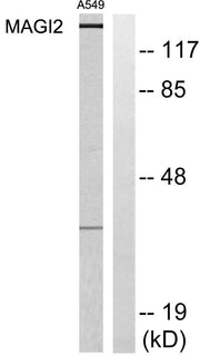 BT LAB manufacturer product image