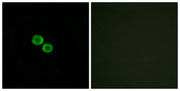 BT LAB manufacturer product image