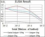 BT LAB manufacturer product image