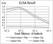 BT LAB manufacturer product image